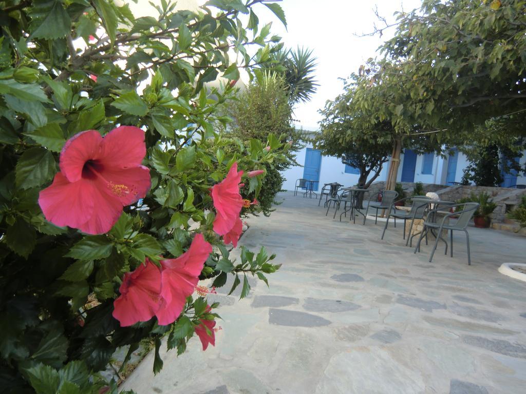 Mykonos Vouniotis Rooms Mykonos Town Exteriör bild